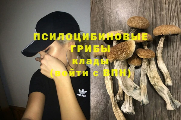 тгк Абинск