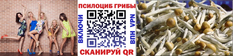 Псилоцибиновые грибы Psilocybe  Духовщина 